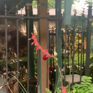 Lush Tropical Airbnb Location