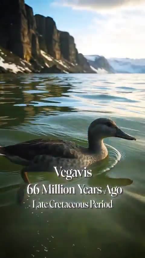 The Evolution of Duck 555 Million Years Ago