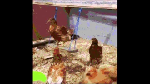 Benis - Swing the Chicken (AI Generated)