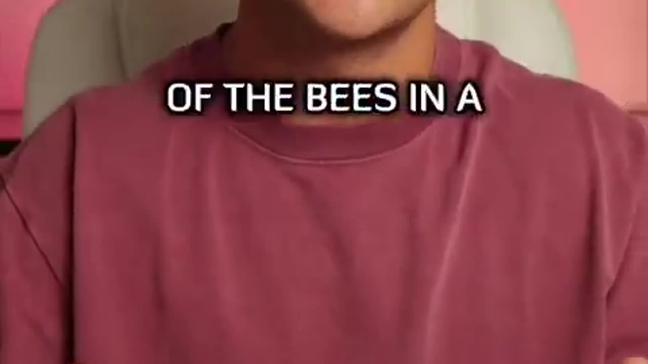 “Did you know this was the largest Bee loss ever recorded?”