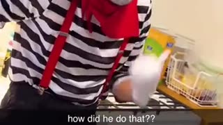 🤣👀 Mimes as Roommates? Chaos Ensues! | FunFM