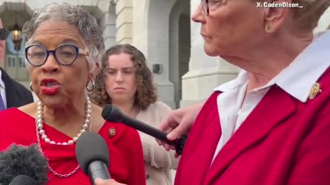 These Dems are NOT happy with rename the Kennedy Center to the 'Trump-Kennedy Center'.