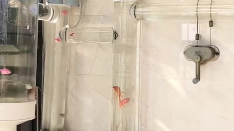 💡✨ A Clever Hack You'll Wish You Knew Sooner | LifeHacksDaily