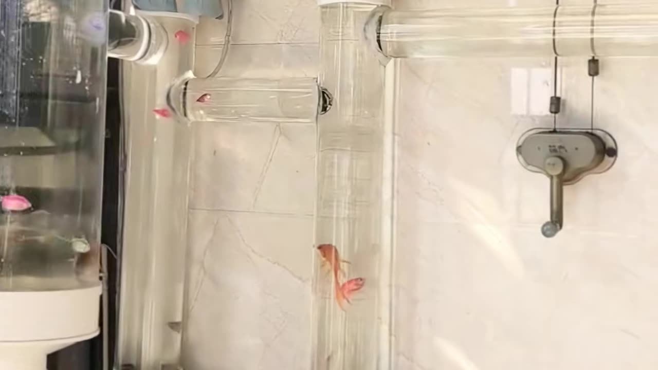 💡✨ A Clever Hack You'll Wish You Knew Sooner | LifeHacksDaily