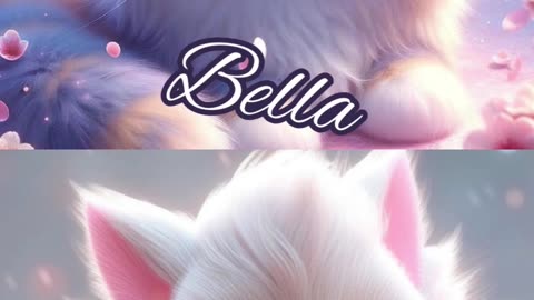 Bella 🆚 Luna – The Ultimate Cute Face-Off! 🐾💖🔥