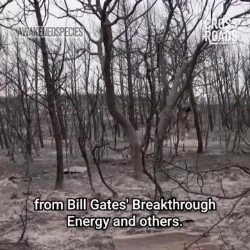 💥🔥💥 Moron-Bill Gates using the triple 6 mil figure to bury trees safe and effective style