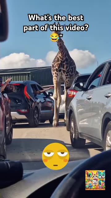 Funny Florida Zoo Animals Reaction - Try Not to Laugh Challenge! 🤪