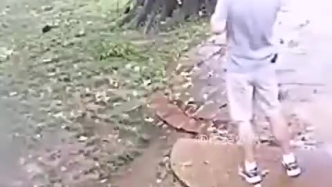 We humans need guardian Angels