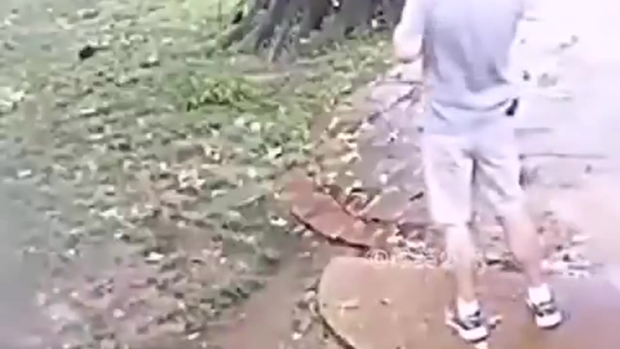 We humans need guardian Angels