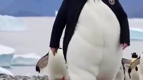 Presidente della Greenland seguito dai suoi elettori più devoti