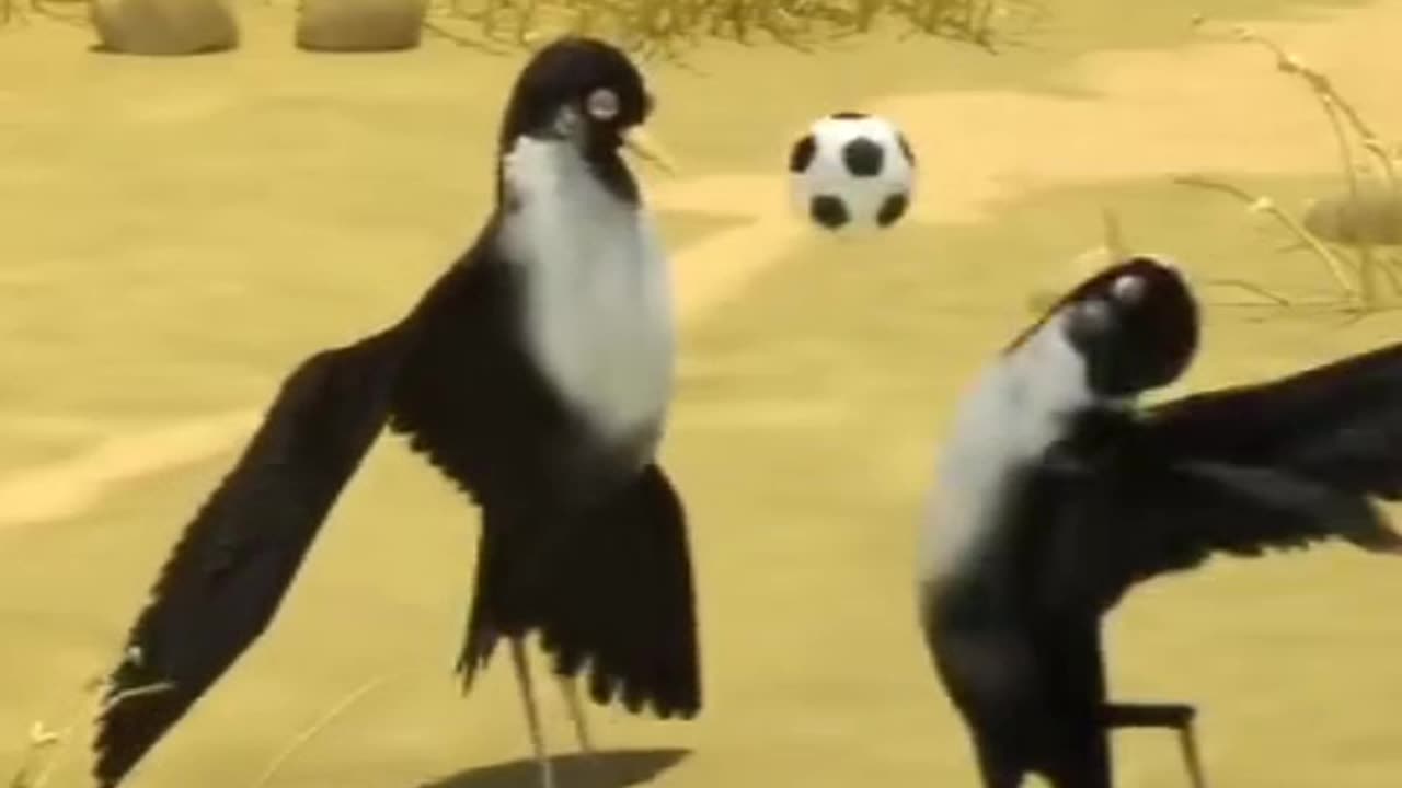 Lion Funny videoππππππππππππππ #viral #trending #explorepage #explore#viral #trending #explorepage