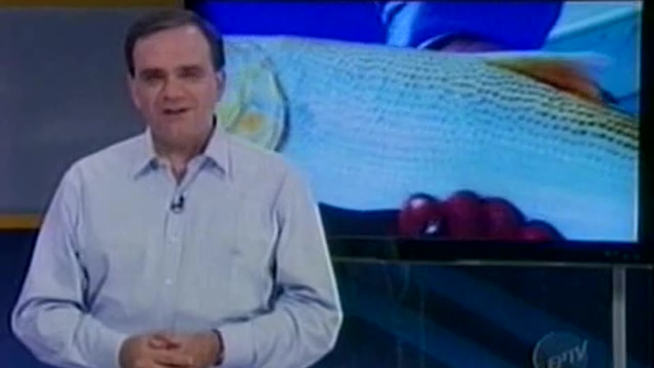 Terra da Gente - Minas Gerais - Bloco 3