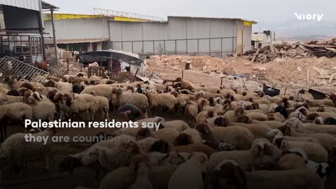 Palestinian farmers east of Tulkarm report injuries and major losses after an alleged settler attack