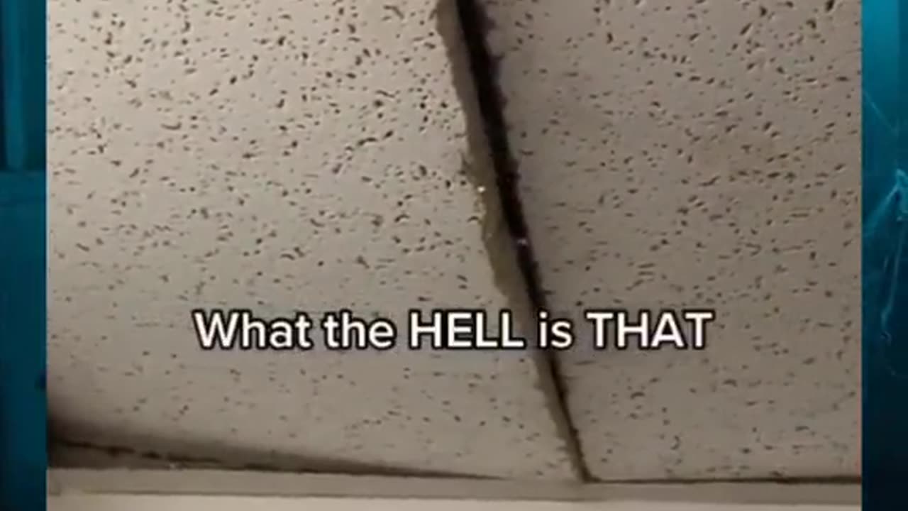 😨👁️ What Is That? Creepy Sighting Caught on Camera | TheHauntingHour