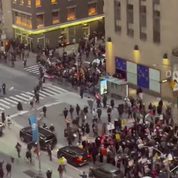 A massive crowd of Hamas supporters has taken over downtown Manhattan