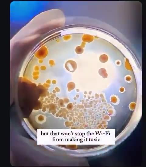 New Research Exposes a Hidden Danger in Your Home: Wi-Fi Routers May ...