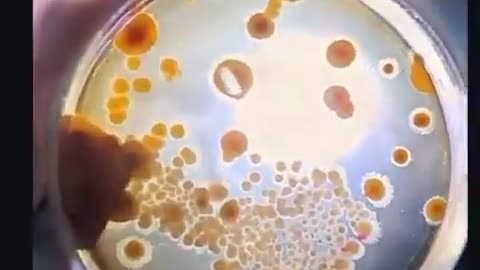 New Research Exposes a Hidden Danger in Your Home: Wi-Fi Routers May ...