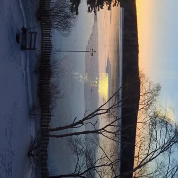 Discover the Beauty of Ducks in Nature's Ice Wonderland