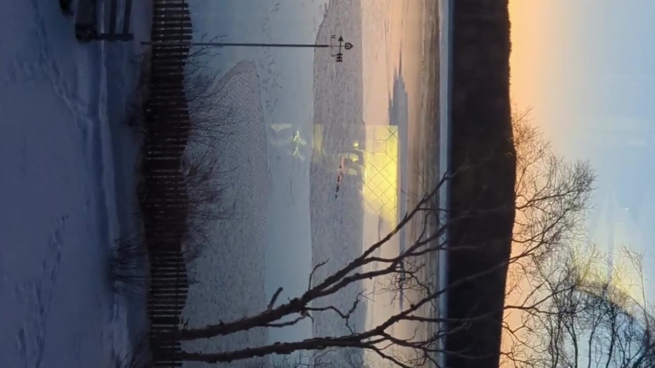 Discover the Beauty of Ducks in Nature's Ice Wonderland