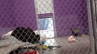 VID_20251004_123543034