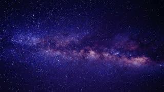 The After Dark Show - Decoding Donnie Darko, BG Cast , Phill Warder , Canadian Spinja