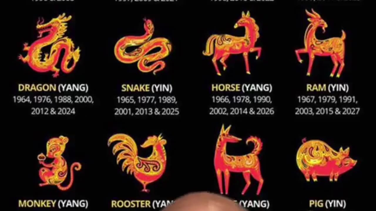 DINOSAURS NEVER EXISTED, DRAGONS WERE REAL