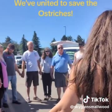UNITED TO SAVE THE OSTRICHES CONVOY #2 KATIE PASITNEY: THE TOWN IS BEING CONTAINED