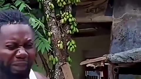 Nenek Indonesia Berhasil Prank Bule Pakai Belimbing Asem!