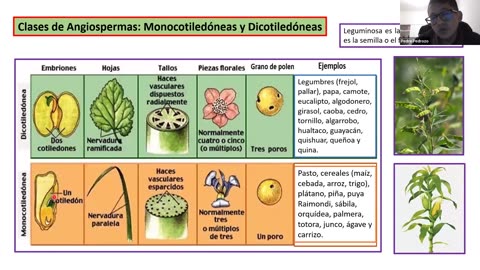 ADC SEMESTRAL PARALELO 2025 | Semana 15 | Biología