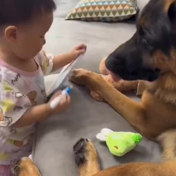 Such a gentle giant 😍