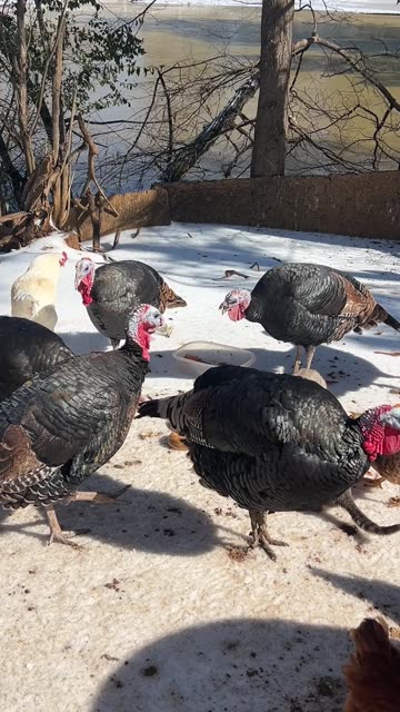 Allan asked for Snacks. Allan got Snacks!!