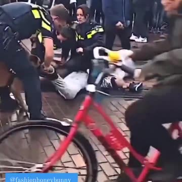 Migrant sprowokował psa policyjnego w Nkizoziemskiej.