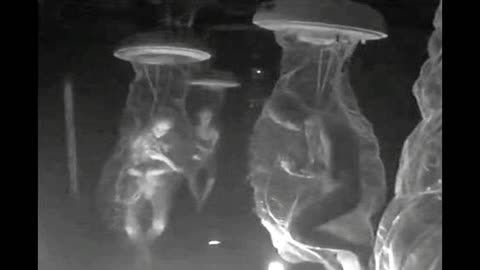 PHIL SCHNEIDER about BLACK BUDGETS, ALIENS, LIST OF UNDERGROUND BASES IN THE USA & more