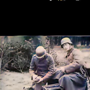 German soldiers training dogs and pigeons 1940 animal allies #Colourized footage 🐕 🐦 🇩🇪 🎥