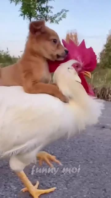 Aisa Dost Sabko Mile 😂