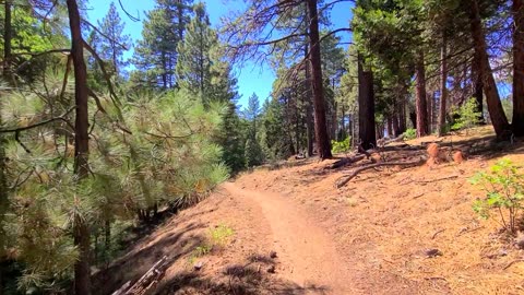 Hiking Mt. Laguna 7 - Old Cemetery II