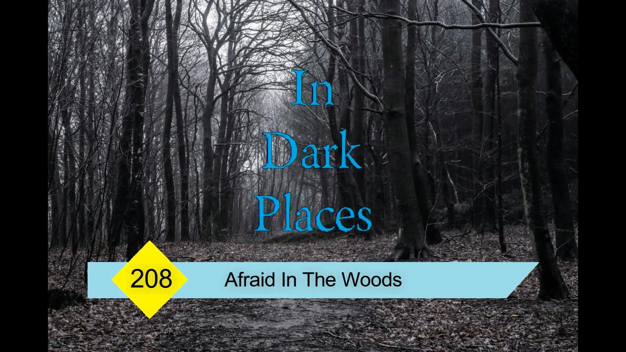 208 - Afraid In The Woods