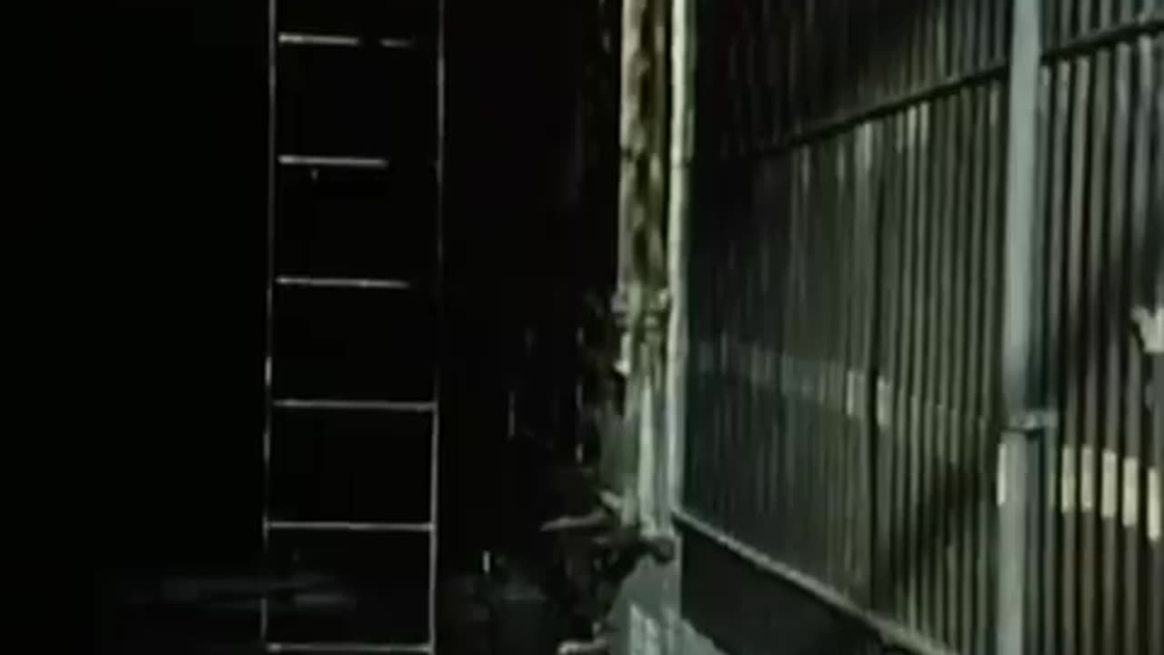 Rick Springfield - I've Done Everything For You (1981)