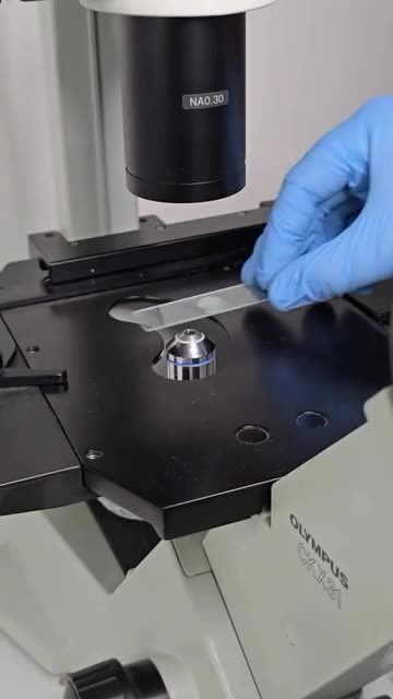 Turmeric vs. Human Parasites