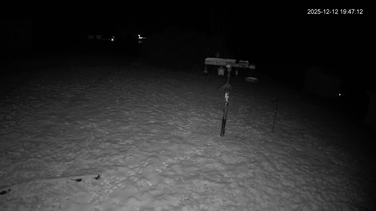 Bird Feeder in Western Maryland USA