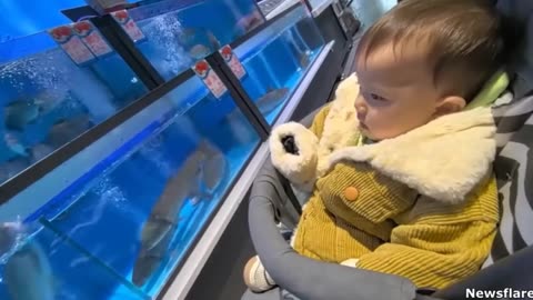 🌐🔥 The Best Of The Internet! 💻🤣✨ (AU)