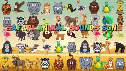 Animal ABC Songs & Safari Animal Sounds Songs Compilation (1 hour) | Nursery Rhymes
