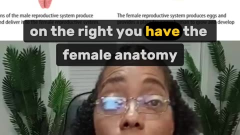 The Man is an Inside-Out Female | Understanding Reversed Anatomy