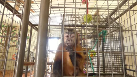 Minnie gets herself a snack