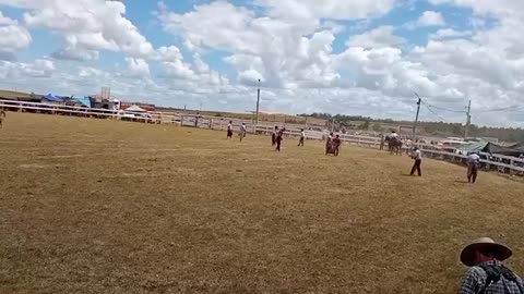 Pial en Potrillos - 19° edicion "A pura tradición" - Fraile Muerto 01/02/2026