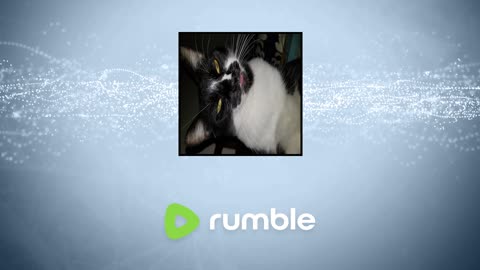 beamng me and gee broke drag racing