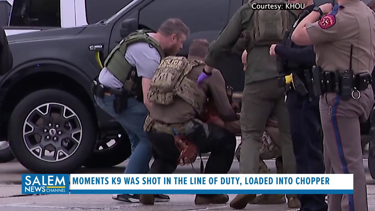 Moments K9 Was Shot, Loaded Into Chopper After Finding Cop Killing Suspect