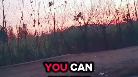 AUTOMATED 😆SUNDAY 1/11/25