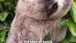 You won’t believe the places they get stuck 🤣💙