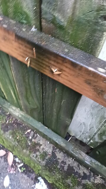 what was to be a laundry room